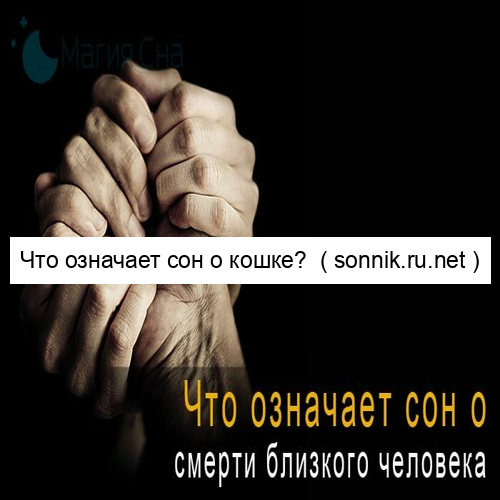 Что означает сон о кошке?