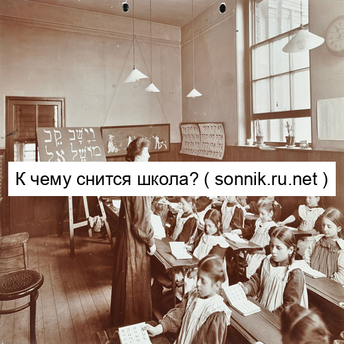 К чему снится школа и как правильно истолковать сон
